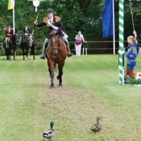 Ringreiten 2012  053